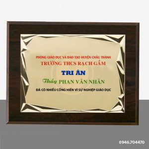 Mẫu kỷ niệm chương gỗ đồng