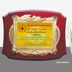 Mẫu kỷ niệm chương gỗ đồng