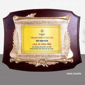 Mẫu kỷ niệm chương gỗ đồng