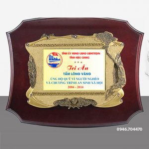 Mẫu kỷ niệm chương gỗ đồng