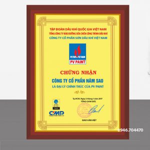 Mẫu kỷ niệm chương gỗ đồng