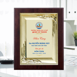 Bảng vinh danh khen thưởng học sinh giỏi cấp tỉnh